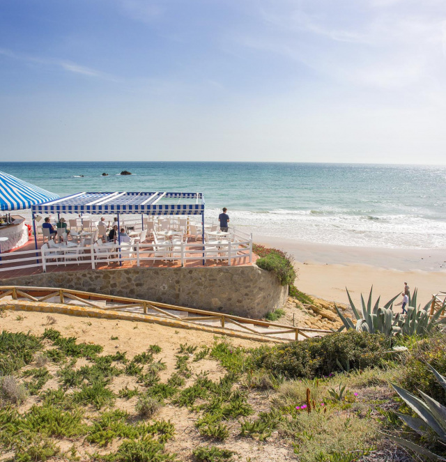 Destination Conil: the blog to discover Conil and surroundings
